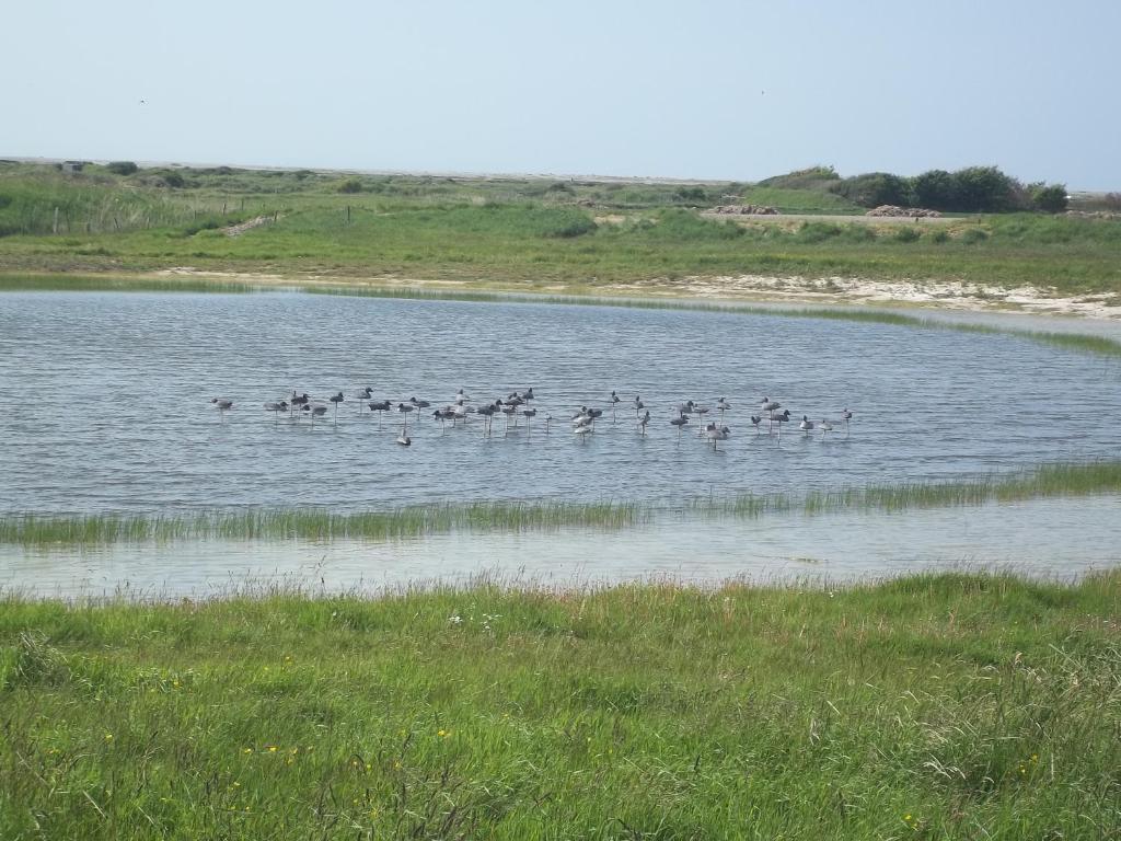 Camping Paradis Les Galets De La Molliere Cayeux-sur-Mer Εξωτερικό φωτογραφία